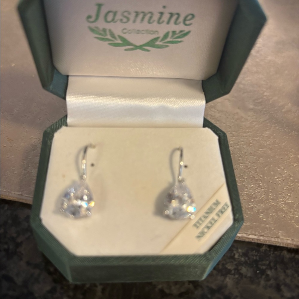 Silver Earrings